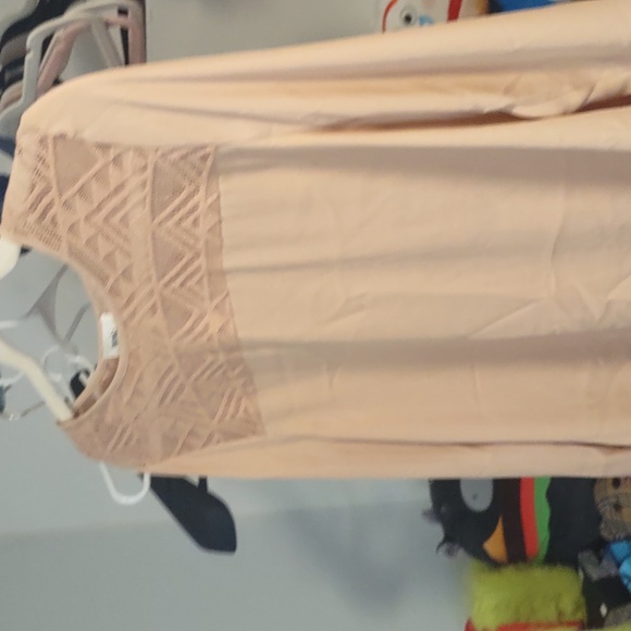 Meraki large - Picture 1 of 1